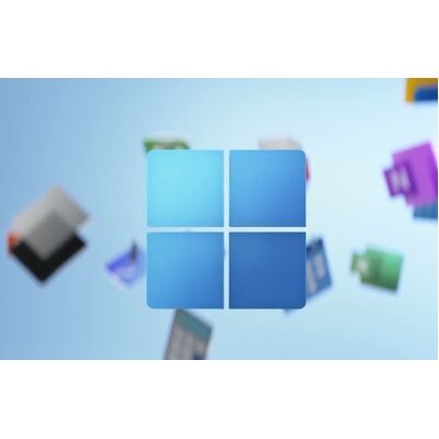 Microsoft Windows 11 Professional OEM 64-bit English 1 Pack (FQC-10528)