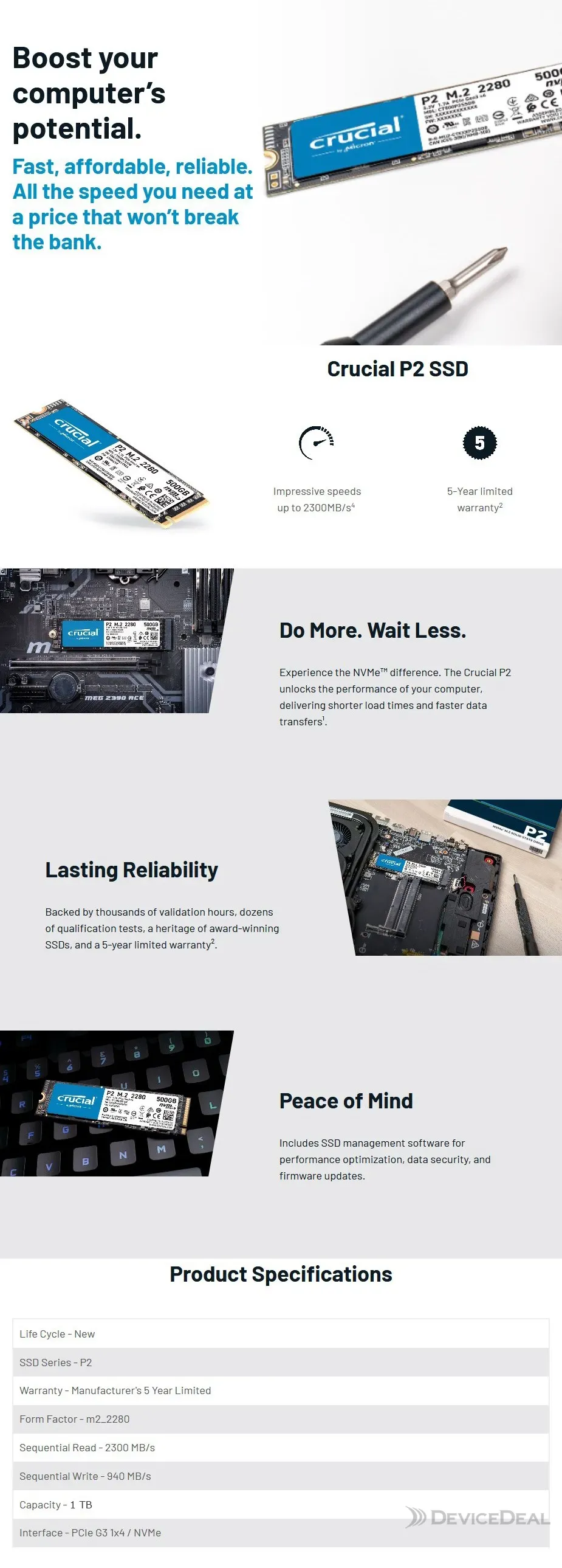 CT1000P2SSD8