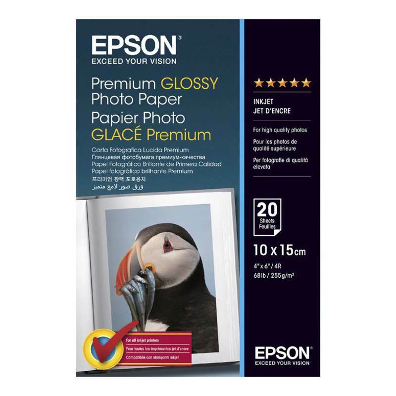 Epson A4 Premium Glossy Photo Paper 20 Sheets C13S041287