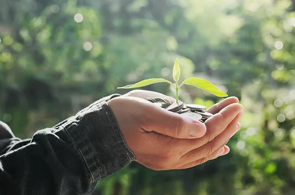 What is Chia Mining?