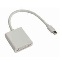 Astrotek Mini DisplayPort Male to DVI Female White