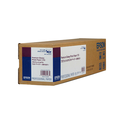 Epson S042076 Paper Roll - C13S042076