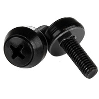 StarTech 100 Pack of M5 Mounting Screws, M5 x 12mm Screws, Black - CABSCREWSM5B