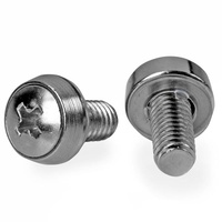 StarTech 100 Pack of M6 Mounting Screws, M6 x 12mm Screws - CABSCREWSM62