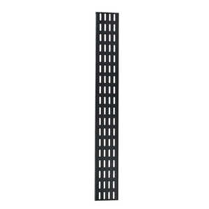 SERVEREDGE 42RU Vertical Cable/PDU Tray - 100mm Wide