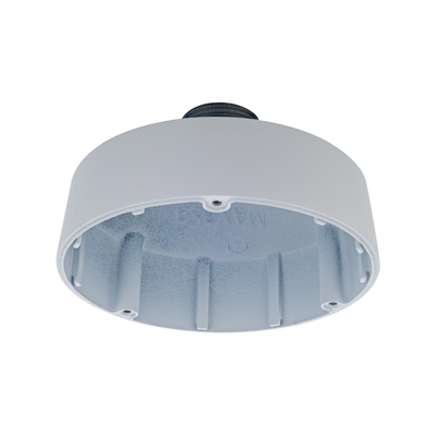 D-Link Pendant Cap Type D2 for Vigilance Cameras - DCS-F461PC