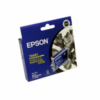 Epson T0491 Black Ink Cart 450 pages Black