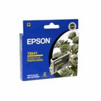 Epson T0541 Photo Black Ink 550 pages Photo Black