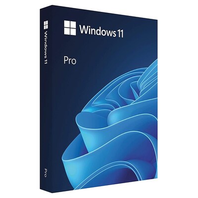 Microsoft Windows 11 Professional 64-Bit USB Drive - Retail Box(HAV-00163)