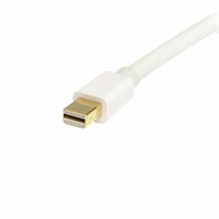 StarTech 3m White Mini DP to DP 1.2 Cable