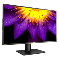 ASUS ProArt PA329Q 32" 4K UHD Quantum Dot 99.5% Adobe RGB IPS Monitor