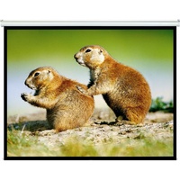 Brateck Manual Projector Screen 2m x 1.5m (4:3 Ratio)