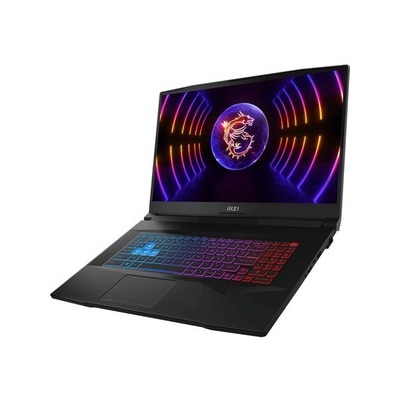 MSI Raptor Lake i7-13700H DDR5 8GB*2 1TB NVMe PCIe SSD Gen4x4 w/o DRAM Windows 11 Home Advanced