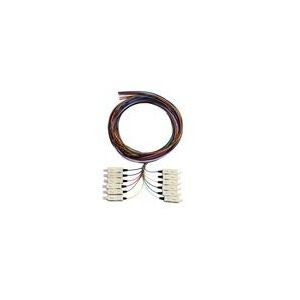 SERVEREDGE SC/APC Single Mode Pigtail-2M-12 Fibres (12 Colour)