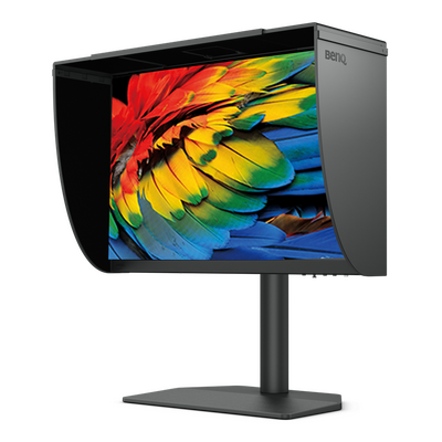 BenQ SW242Q 24in WQXGA IPS PhotoVue Photographer Monitor